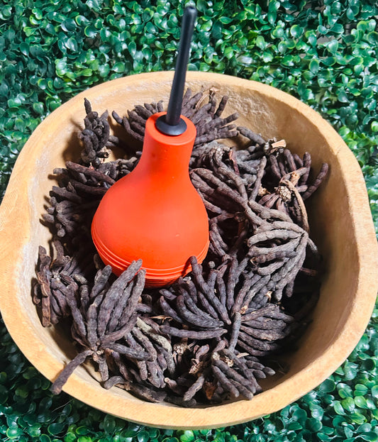Grains of Selim (negro pepper)