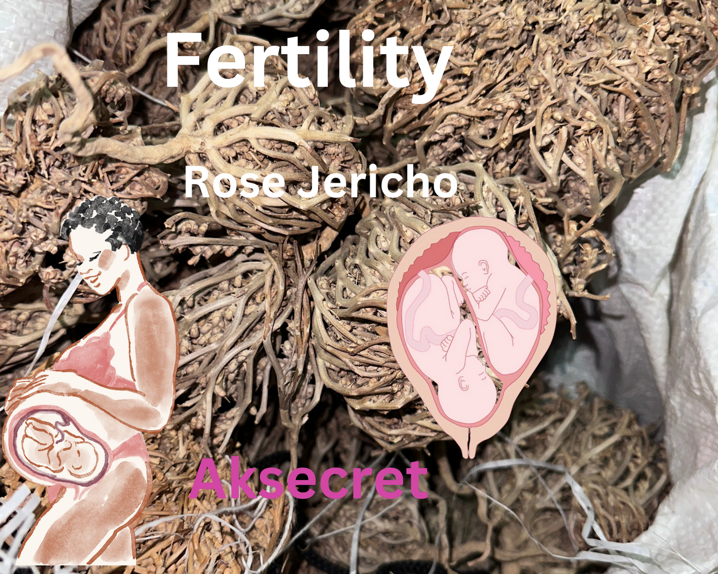 Kalf Maryam/Rose Jericho
